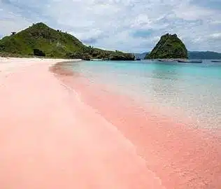 pink beach with bintang komodo tours.jpg